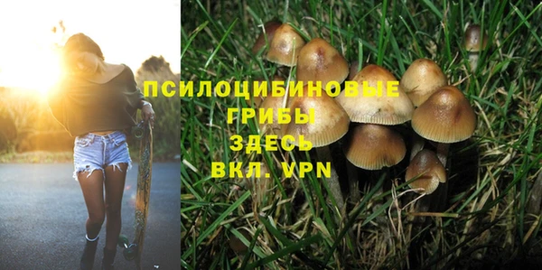 apvp Беломорск