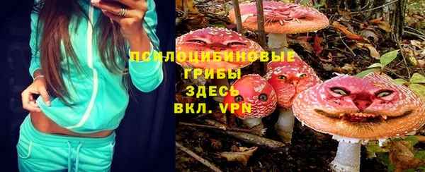 стаф Белоозёрский
