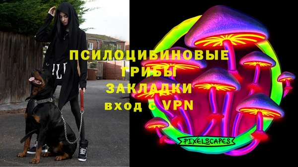 apvp Беломорск