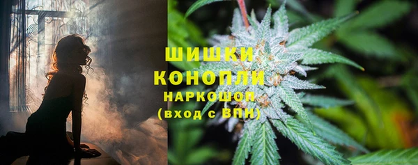 стаф Белоозёрский