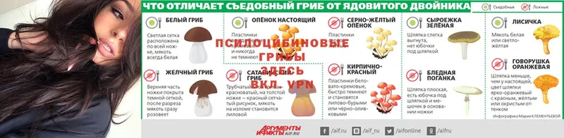 Галлюциногенные грибы мухоморы  купить  сайты  даркнет официальный сайт  Бузулук 