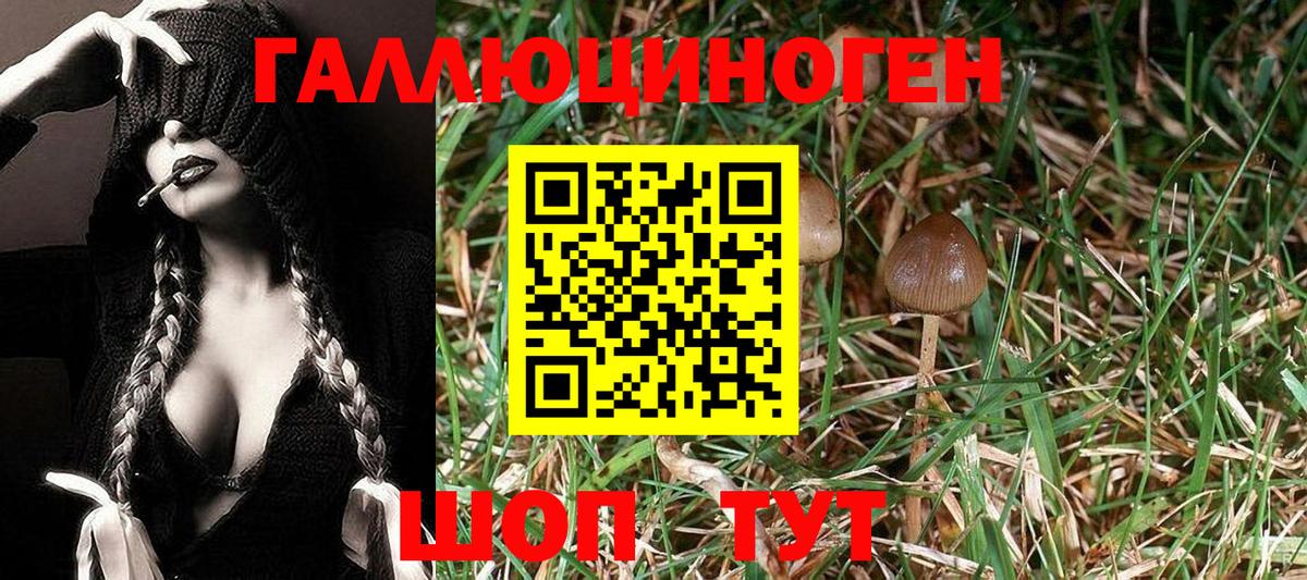 Галлюциногенные грибы Magic Shrooms Бузулук