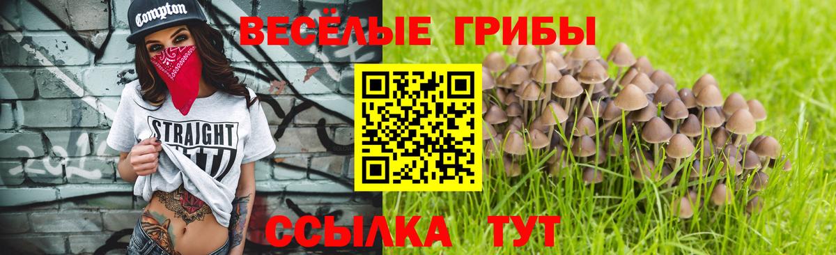 Бузулук  Псилоцибиновые грибы мухоморы  Псилоцибиновые грибы Psilocybine cubensis  Вход с VPN 