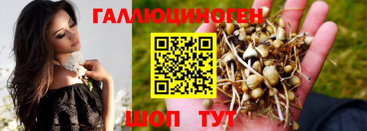 Псилоцибиновые грибы ЛСД  Бузулук  Псилоцибиновые грибы Psilocybe 